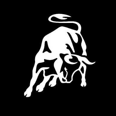 Lamborghini profile avatar
