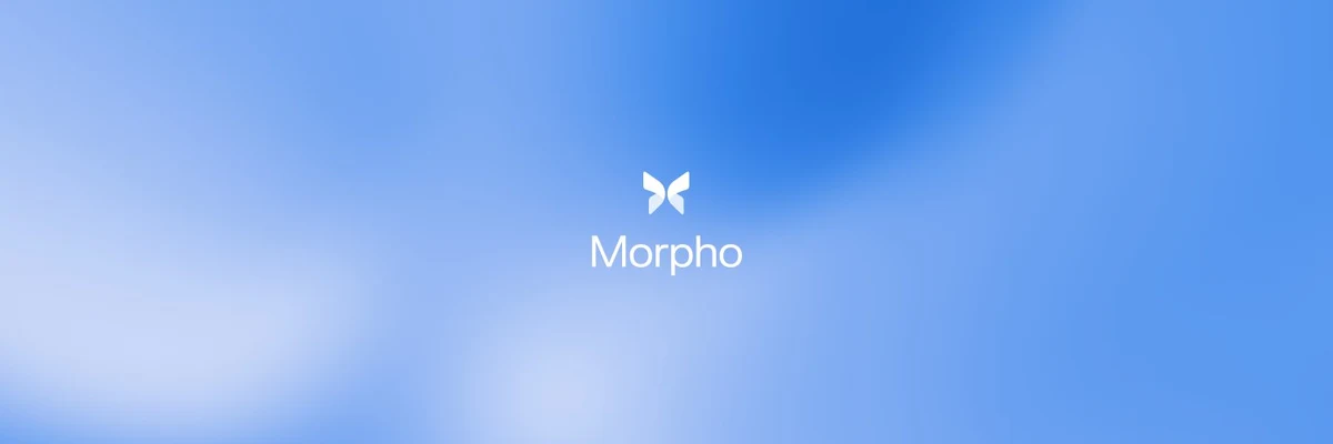 Morpho 🦋 profile cover