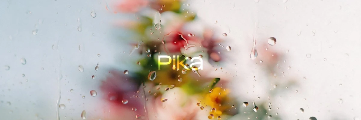 Pika profile cover
