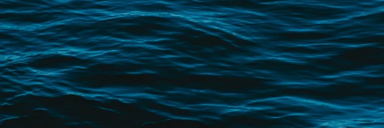 Saronic profile cover