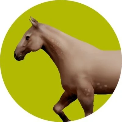 Horse Browser profile avatar