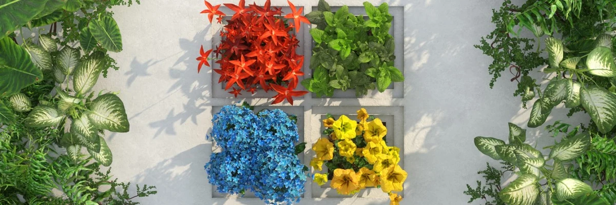 Microsoft profile cover