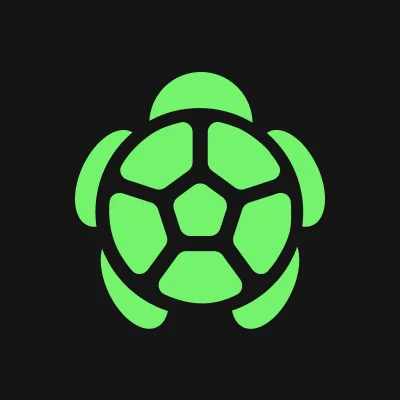 Turtle profile avatar
