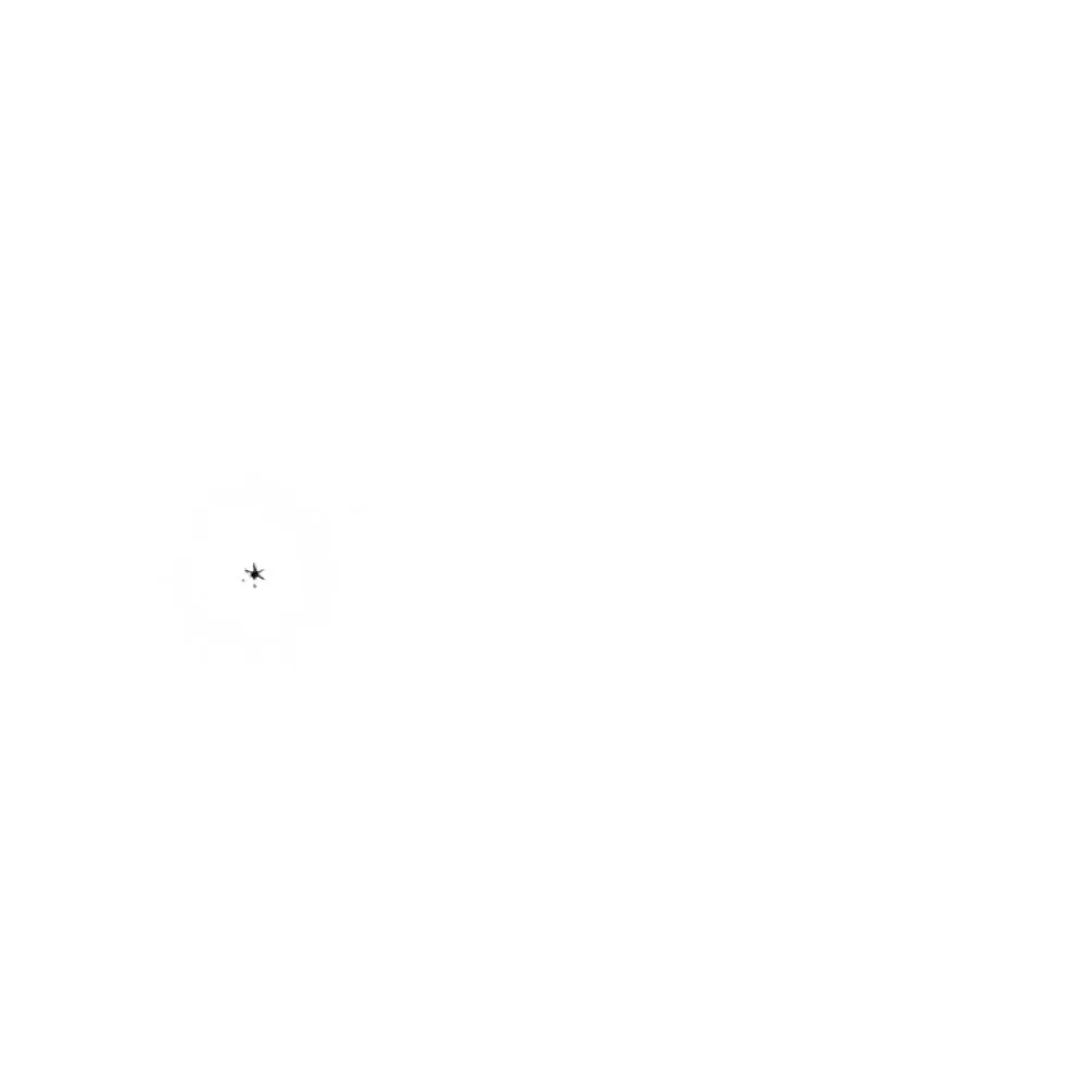 Aleph Alpha: Small bird, fast wings, Kolibri is here — public x-twitter post media curated for social post design inspiration.