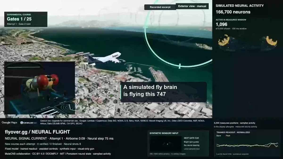 Alistair McLeay: the fly brain is autonomously flying a 747 over san francisco right now — public x-twitter post media curated for social post design inspiration.