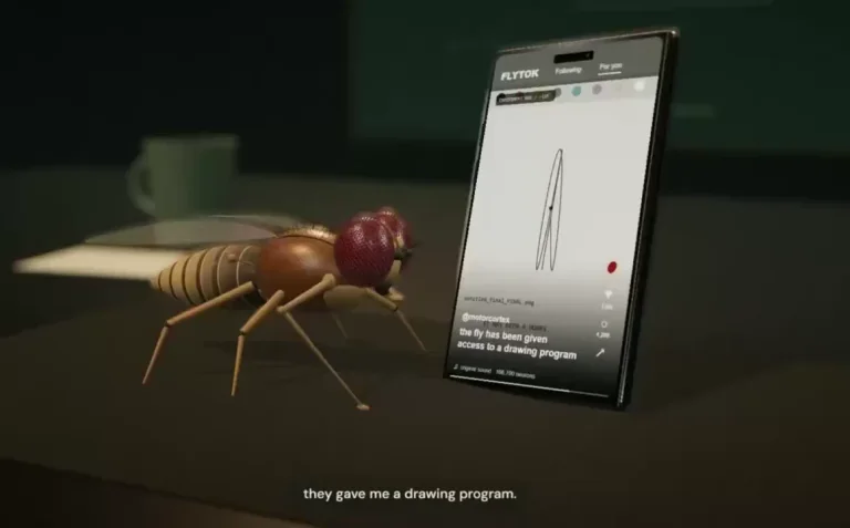 Chris: The fly is now watching experiments of himself on social media — public x-twitter post media curated for social post design inspiration.