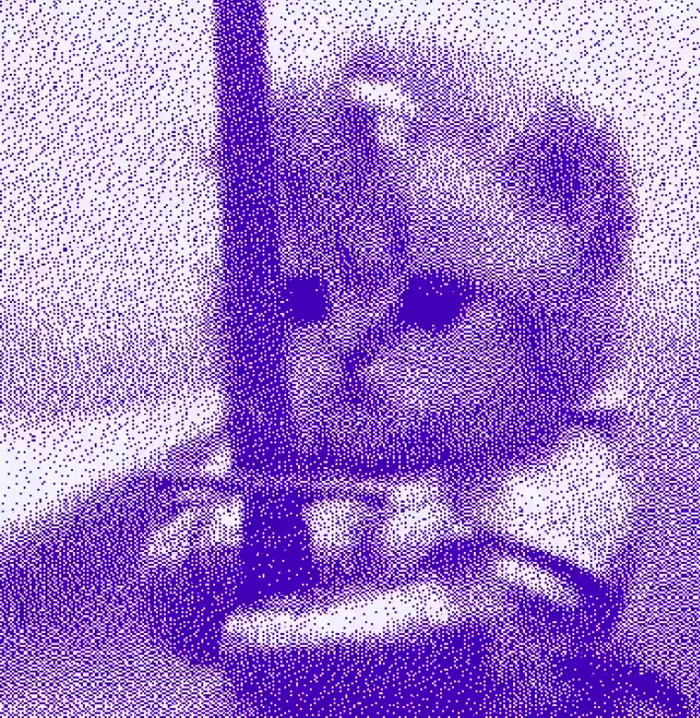 David Haz: The bravest warrior — public x-twitter post media curated for social post design inspiration.