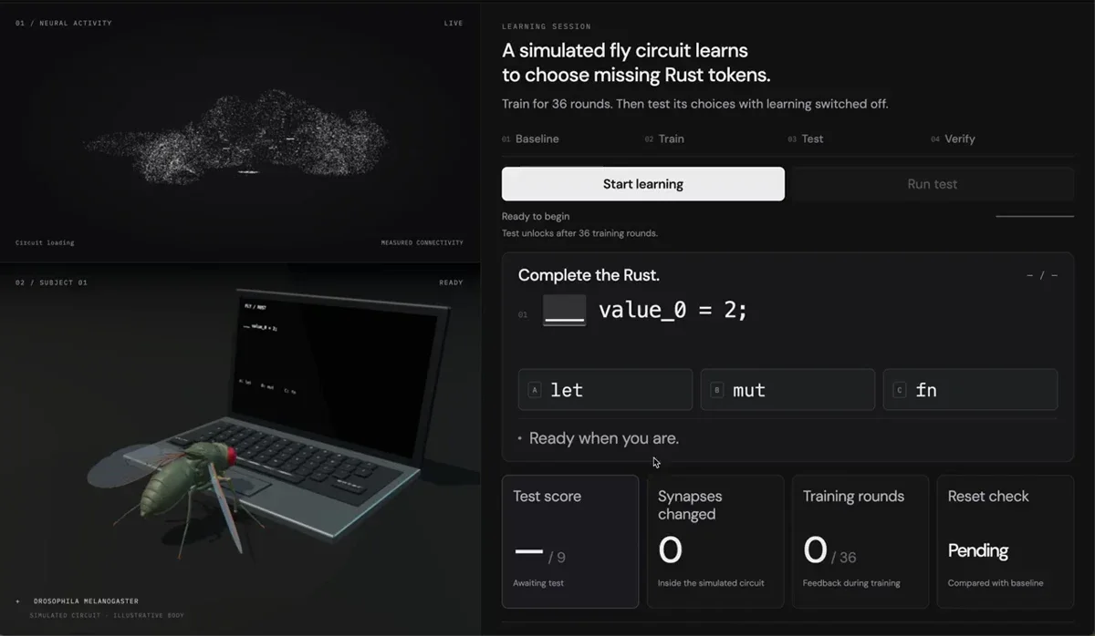 Tenso: fly brain can now write rust code — public x-twitter post media curated for social post design inspiration.