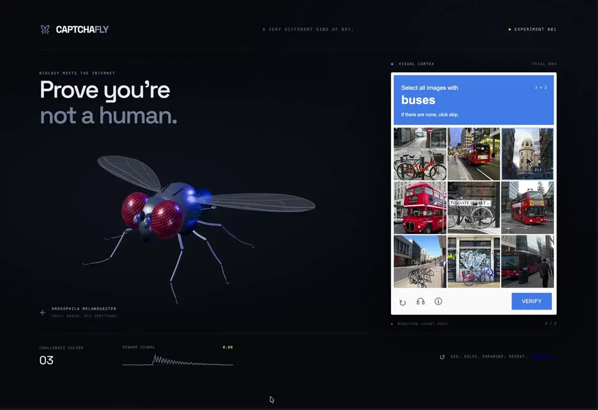 Jmill: i trained the fly to solve captchas for me — public x-twitter post media curated for social post design inspiration.