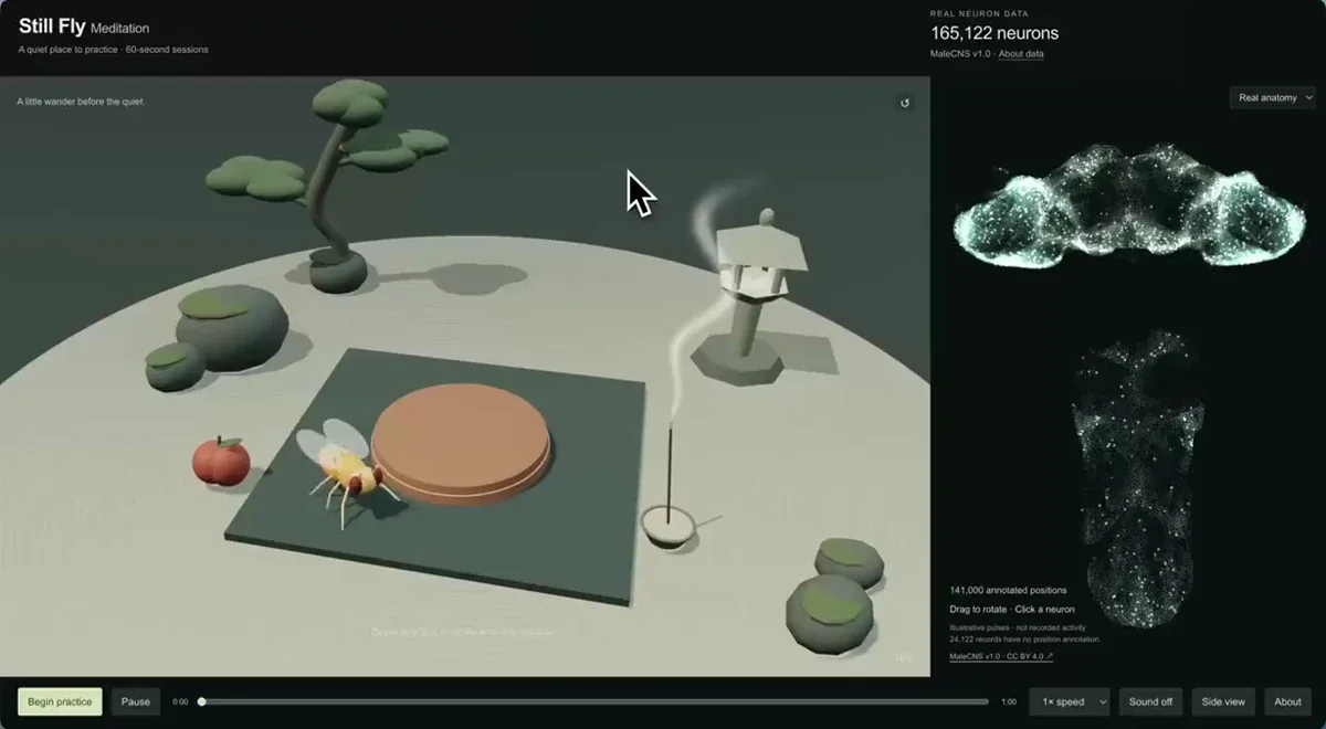 Panpan: Training the fruit fly to meditate in a zen garden so it can attain — public x-twitter post media curated for social post design inspiration.