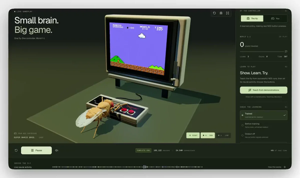 Pietro Schirano: I trained the fly to play Super Mario — public x-twitter post media curated for social post design inspiration.