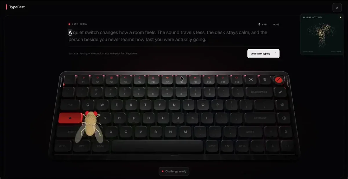 Chosen: The fly brain can speed type now — public x-twitter post media curated for social post design inspiration.