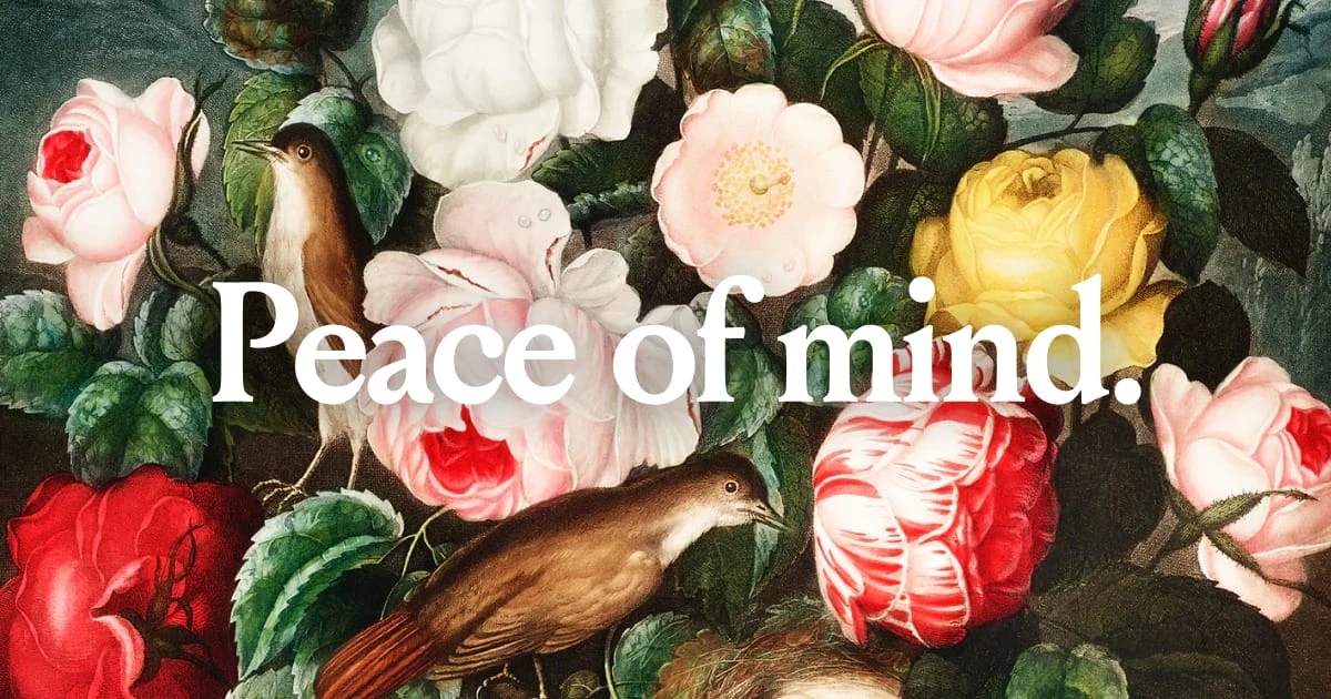 mymind OG image: A glimpse into your mind