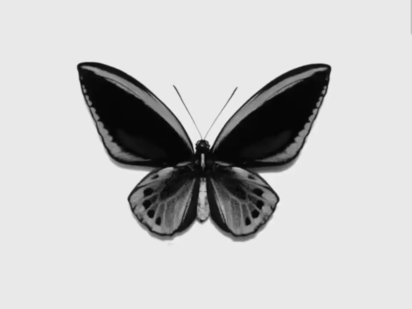 Arushi Upmanyu: the moodboard has an address now — public x-twitter post media curated for social post design inspiration.