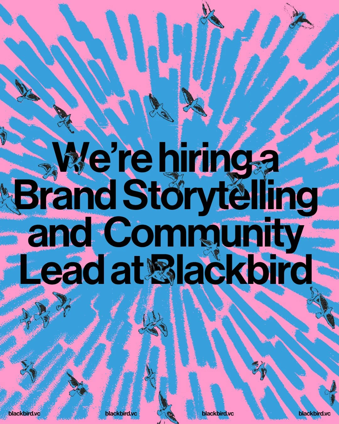 We're hiring a Brand, Storytelling and Community Lead at Blackbird — public x-twitter post media curated for social post design inspiration.
