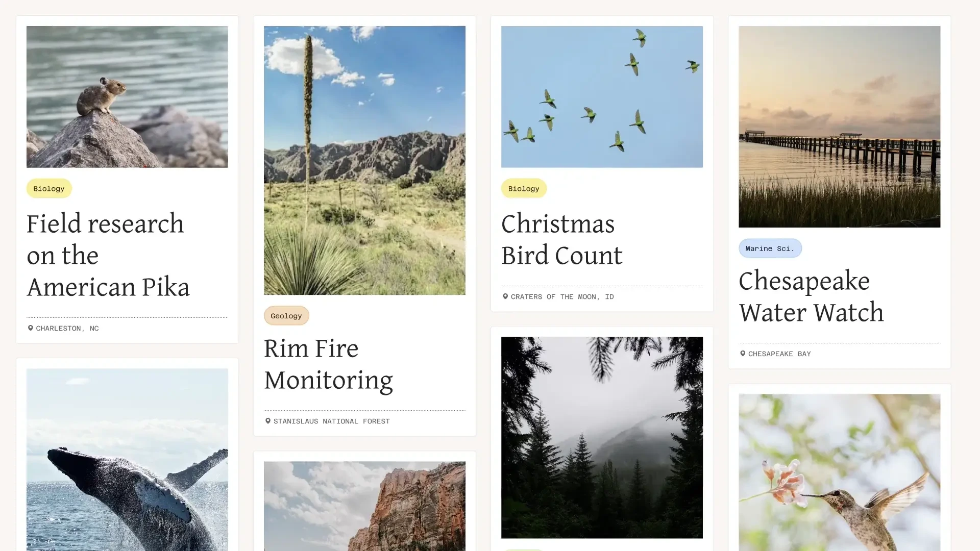Figma: When we say wrap it up, we mean Pretty and Balance (available now) — public x-twitter post media curated for social post design inspiration.