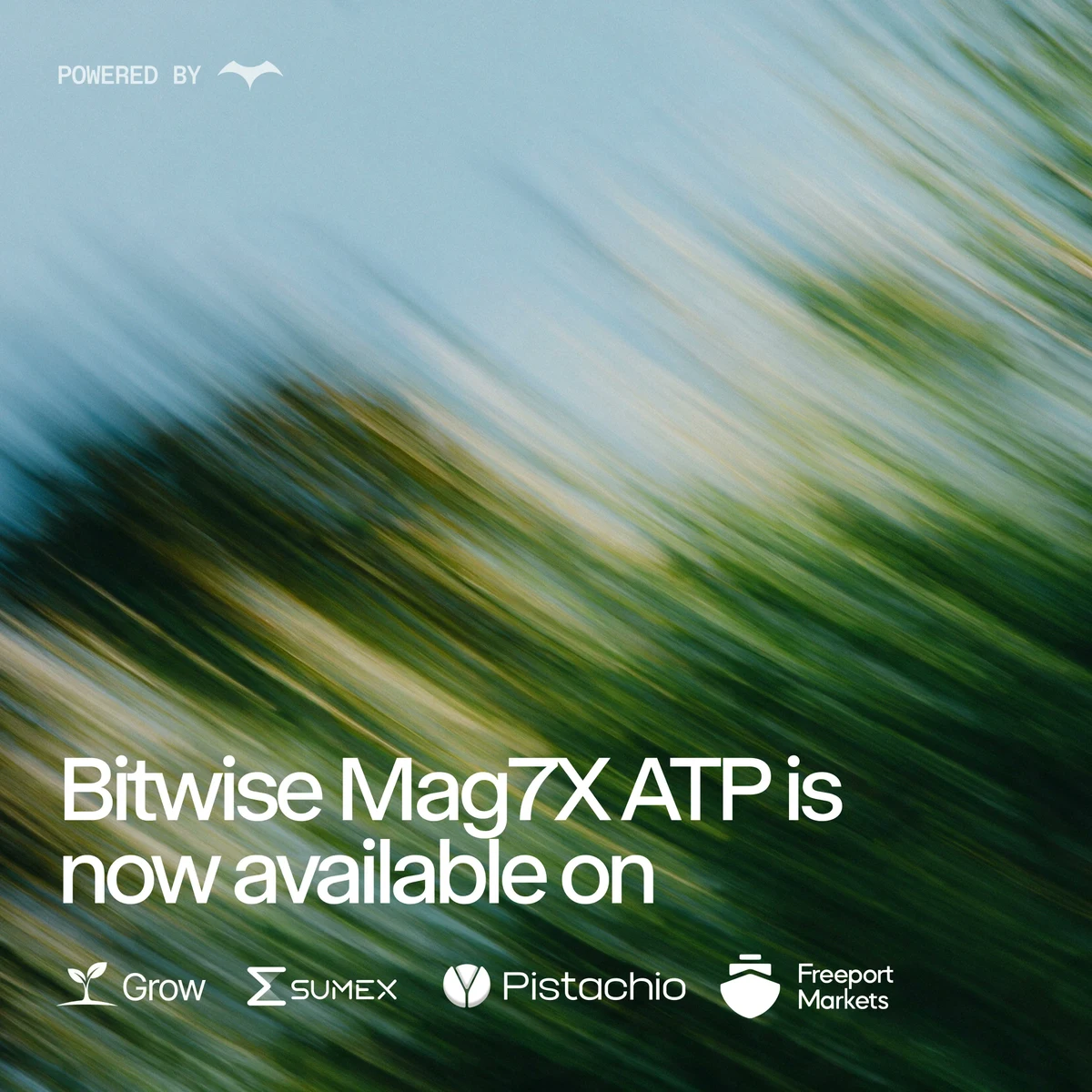 Glider: There are more ways to hold the Bitwise Mag7X ATP — public x-twitter post media curated for social post design inspiration.