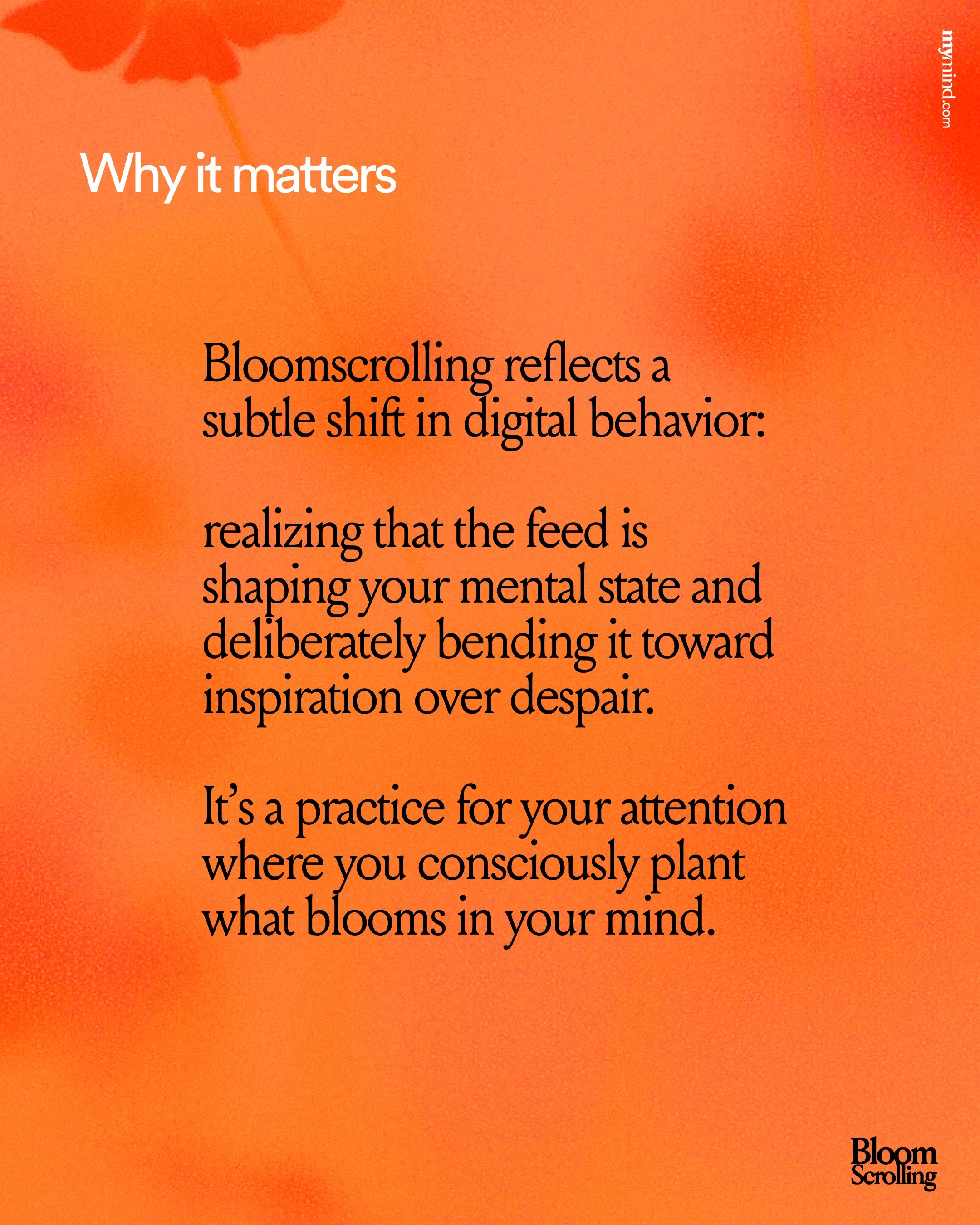 mymind image 4 of 4