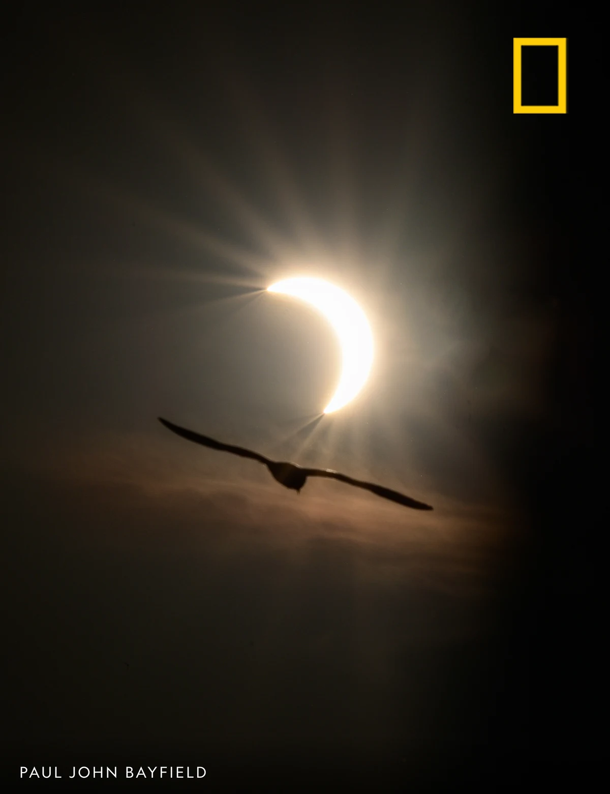 National Geographic photographer Paul John Bayfield photographed — public x-twitter post media curated for social post design inspiration.