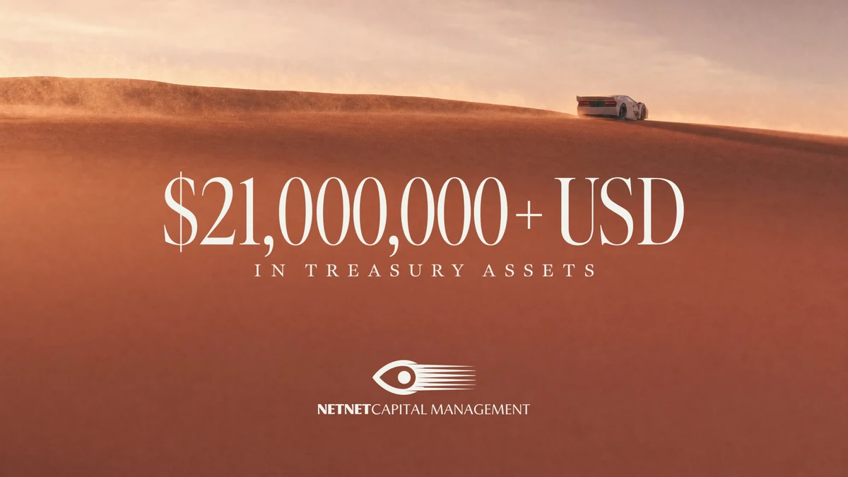 NetNet Capital: Shareholders — public x-twitter post media curated for social post design inspiration.