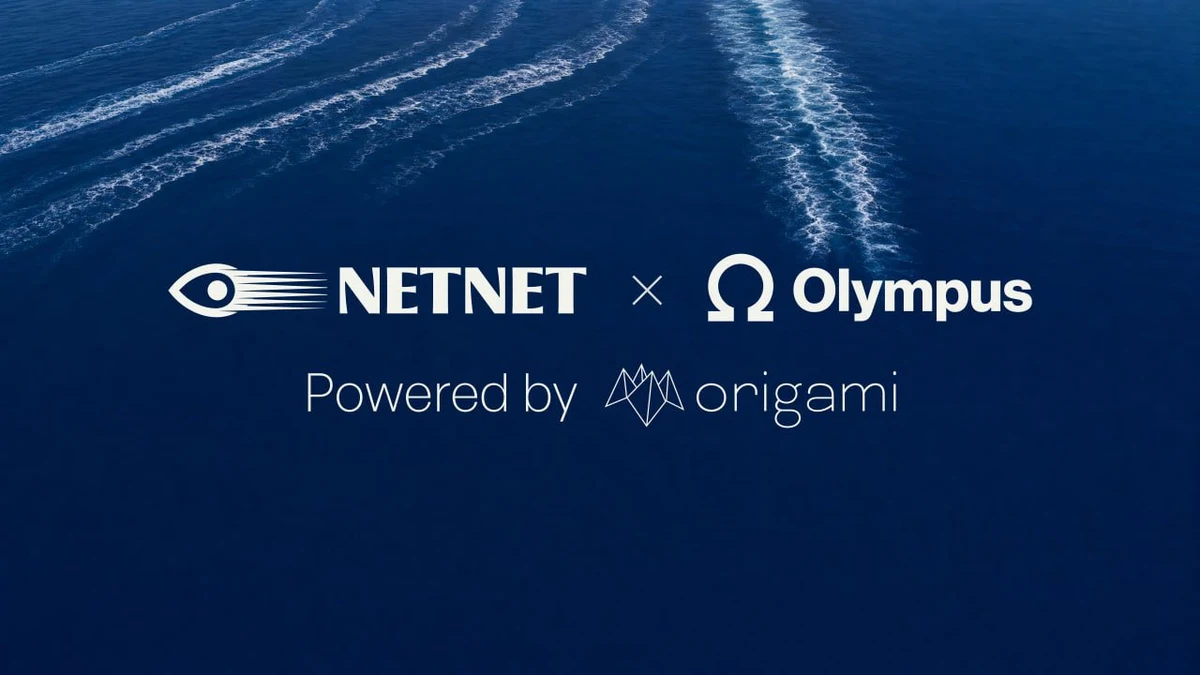 NetNet Capital: Shareholders — public x-twitter post media curated for social post design inspiration.