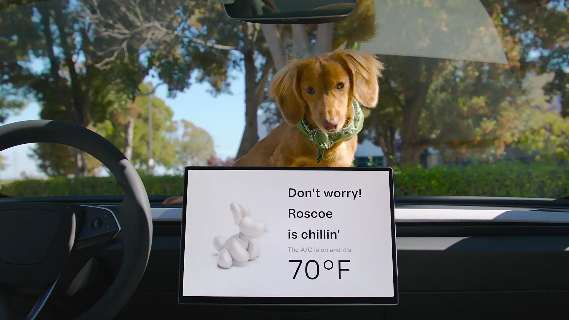Tesla: Pet Mode keeps your dog chillin' — public x-twitter post media curated for social post design inspiration.
