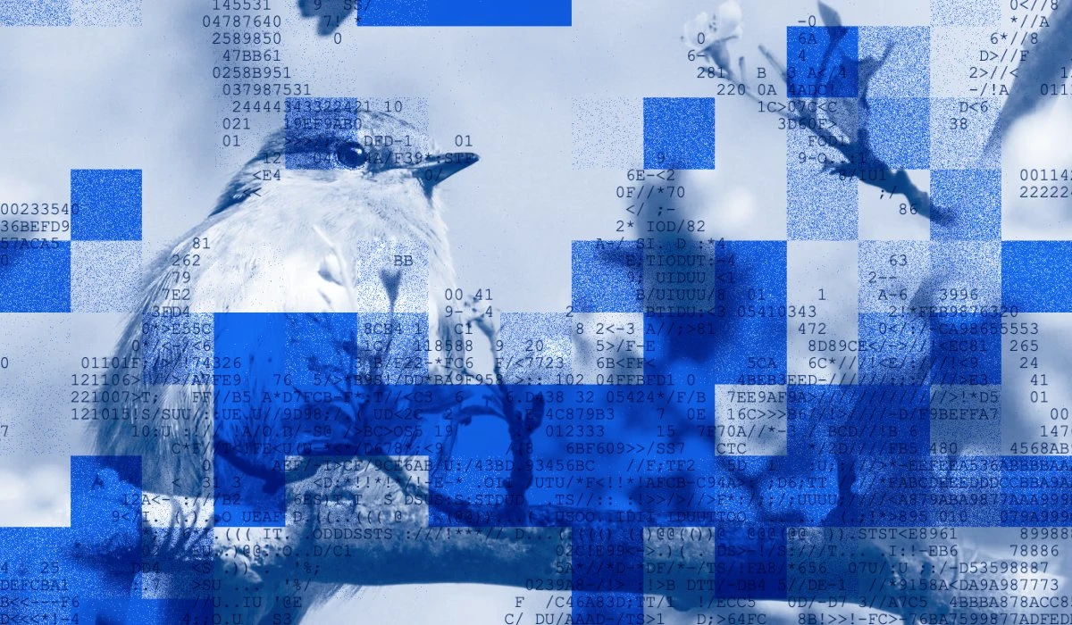 Getting to the source — public x-twitter post media curated for social post design inspiration.