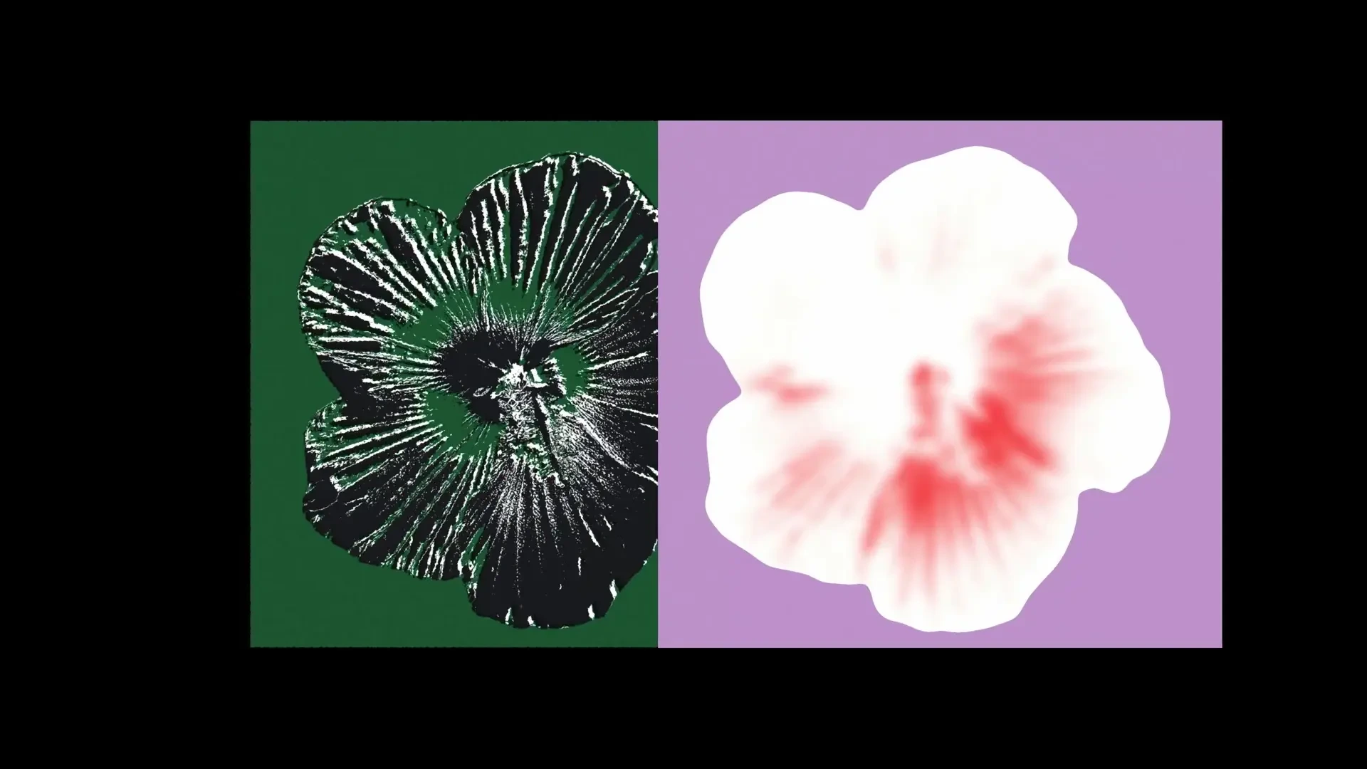 Dylan Field: CUSTOM SHADERS BUILT WITH THE FIGMA AGENT — public x-twitter post media curated for social post design inspiration.